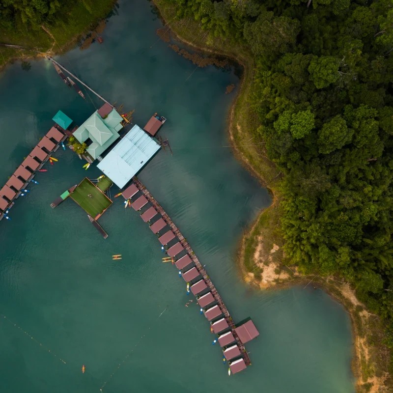 Ecosystem-Services-Image