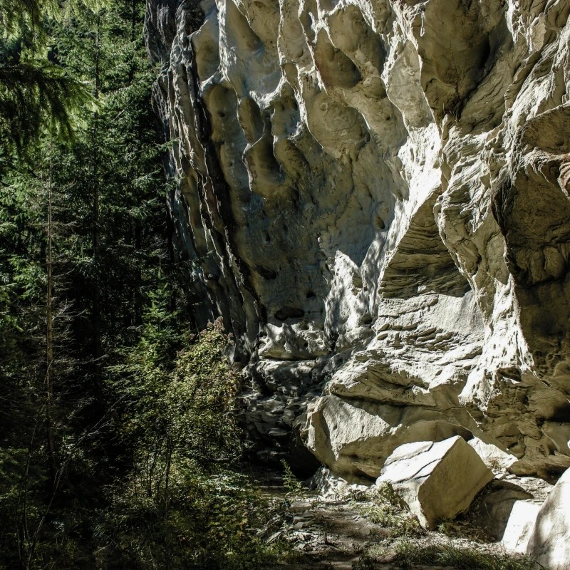 Natural-Resources-Image