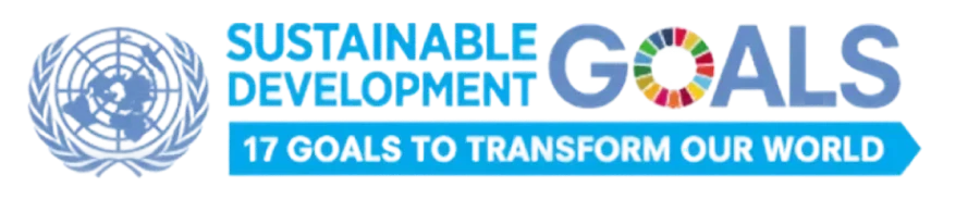 SDG Logo