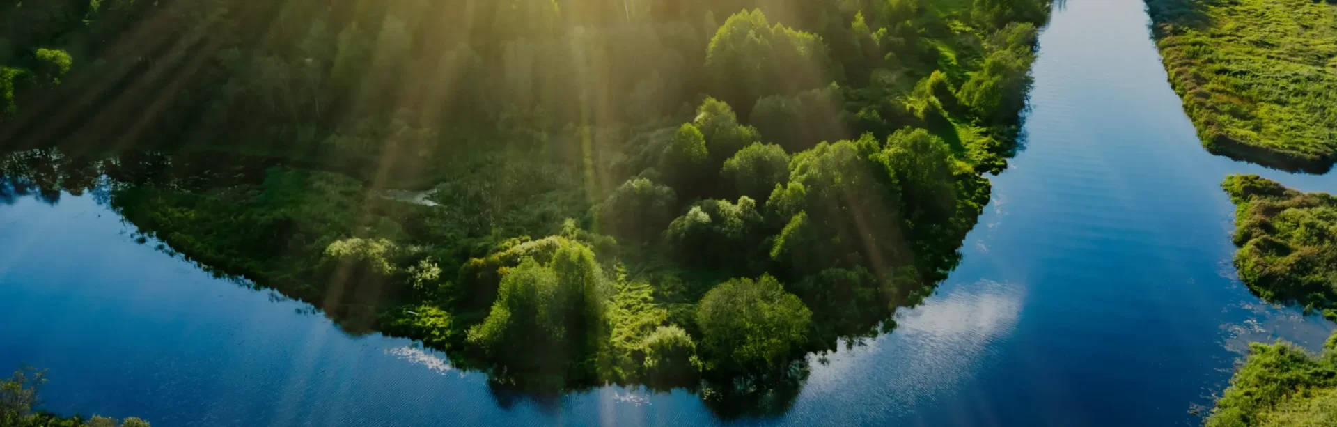 background-climate-tackling-scaled