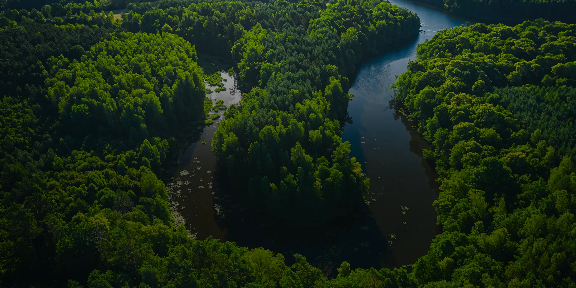 background-hero-about-page