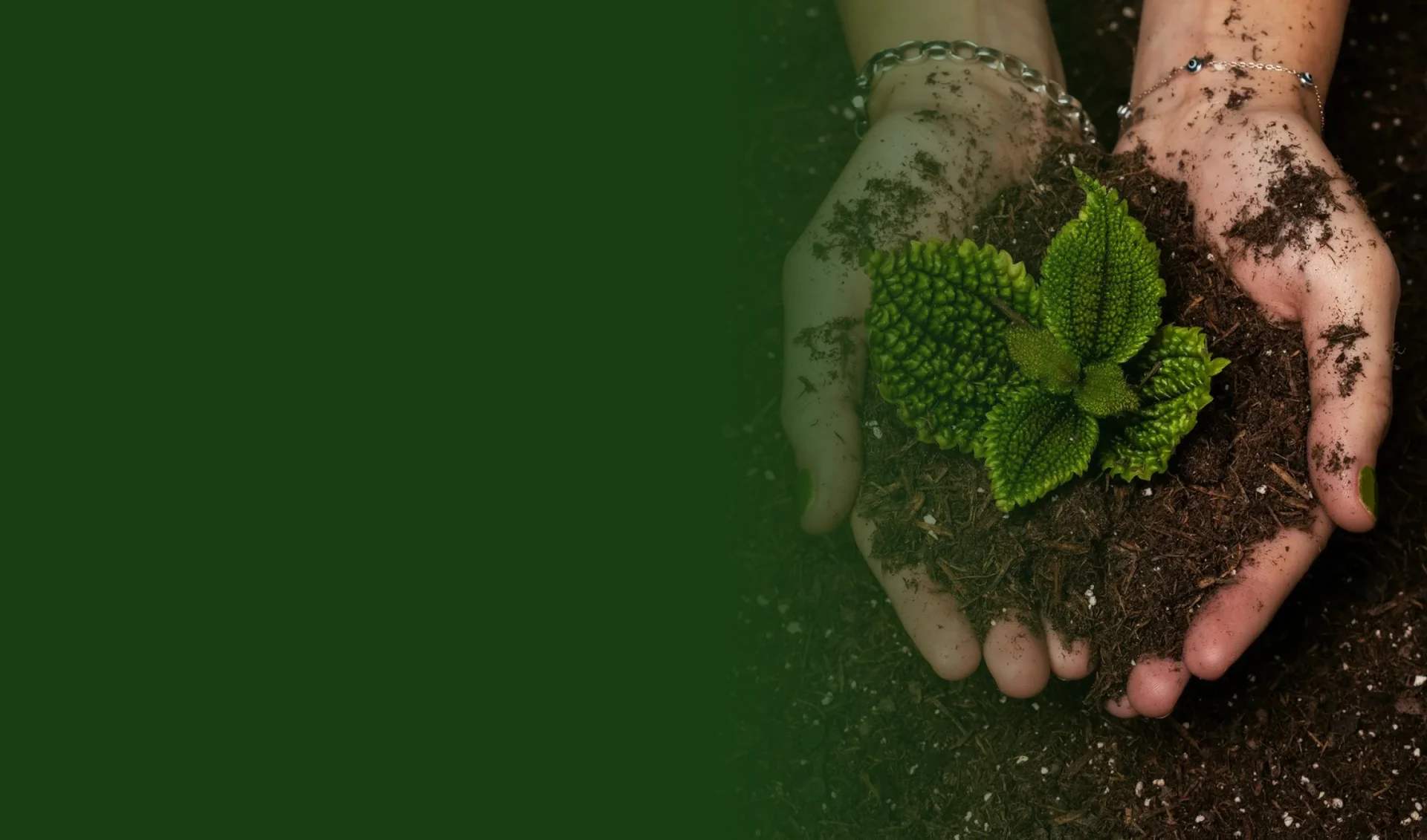 background-overview-about