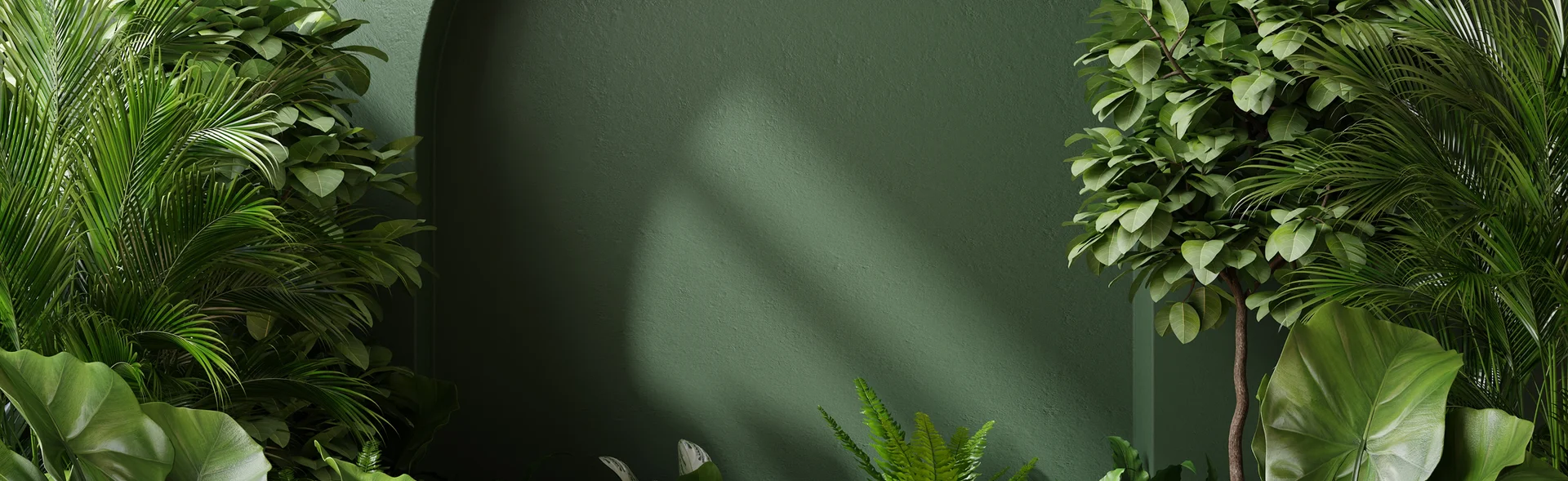 background image of section